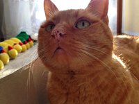 3yextihk.jpg 3yextihk.jpg