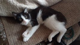 photo_2021-03-27_18-37-27.jpg photo_2021-03-27_18-37-27.jpg