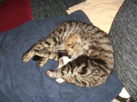 DSCF5078.JPG
