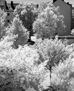 P3D_2022-05-11 14_IR720.jpg