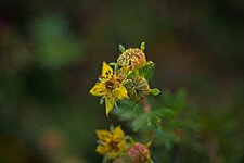 2022-09-23 09.07.49_PhotoRaw_Export_photoraw_web.jpg