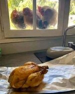 323901684_740000007840894_4245963786285208896_n.jpg 323901684_740000007840894_4245963786285208896_n.jpg