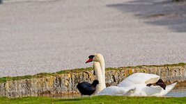 2024-03-15 09.18.01PhotoRaw_Export.jpg