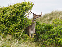 IMG_8898.jpeg
