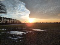 2025-01-13 PmdFis 1.jpg