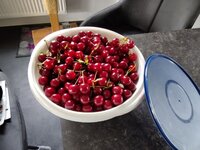 IMG_20250712_095313.jpg