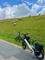 IMG_1804.jpeg