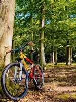 k-IMG_3120.jpg