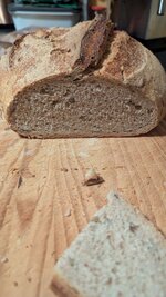 2025-09-01 23.12.06.jpg 2025-09-01 23.12.06.jpg