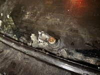 WhatsApp Image 2026-01-12 at 12.33.12.jpeg