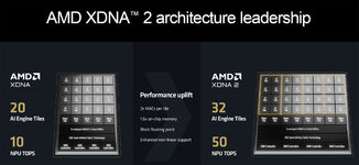 xdna2-6.jpg