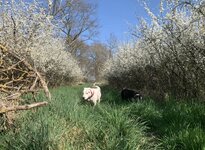IMG_0481.jpeg