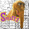 Snuffy