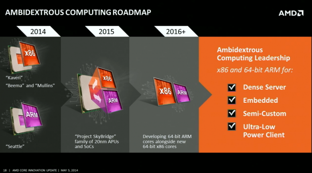 AMD-Skybridge-01.png