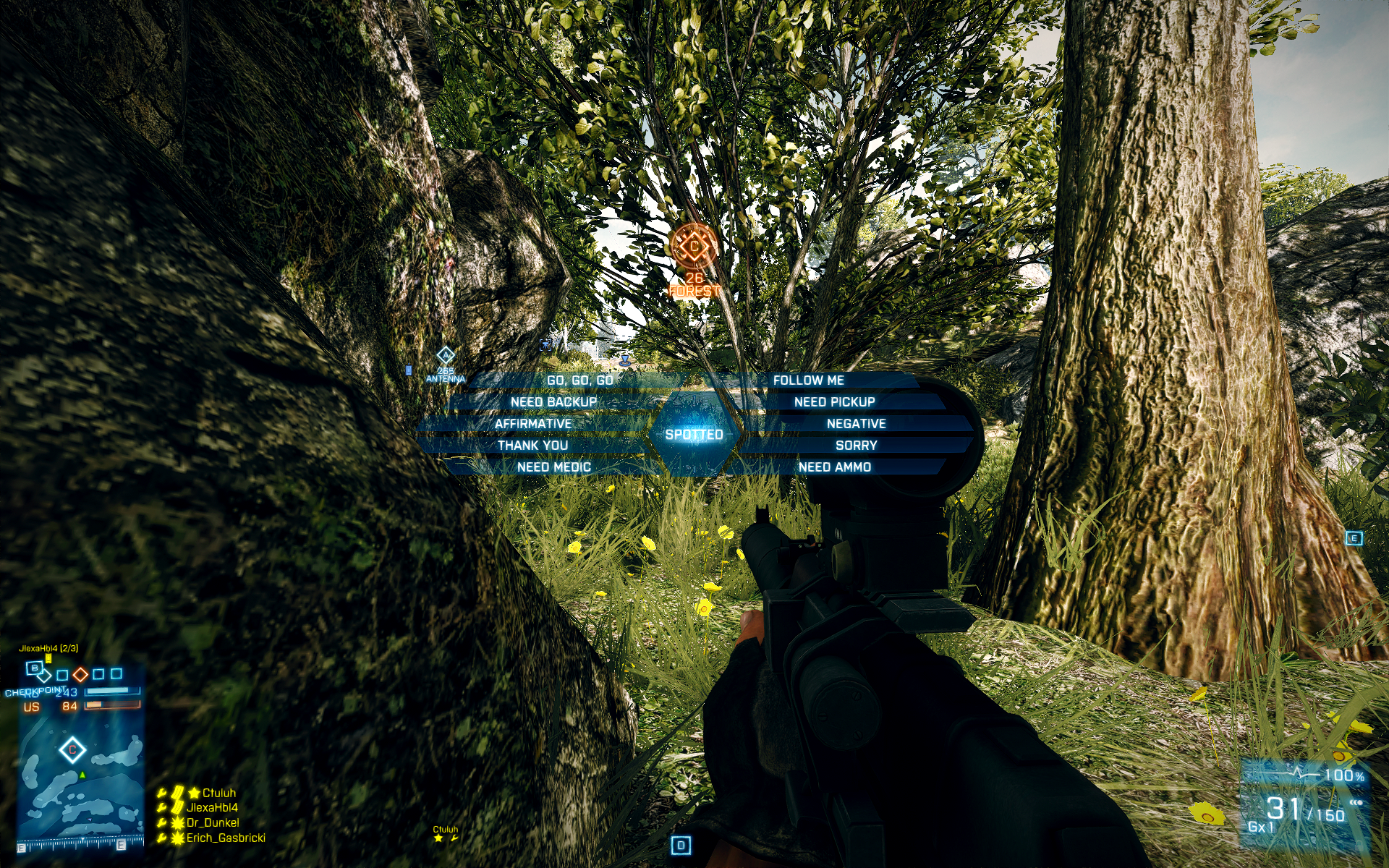 bf32012-03-2912-27-51opzvp.png